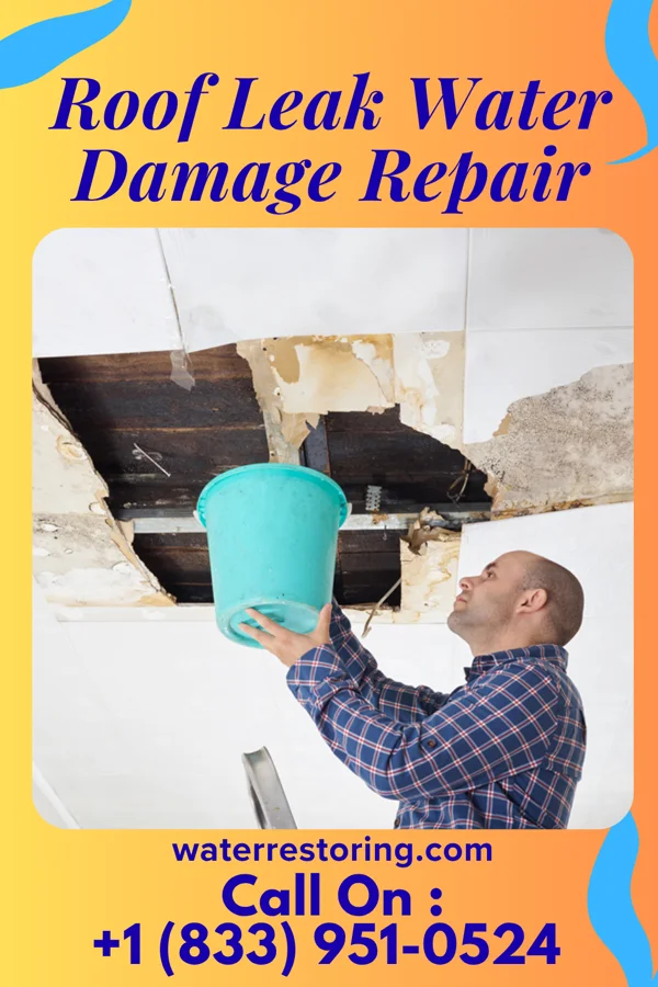 Roof Leak Water Damage Repair in Bowersville, GA